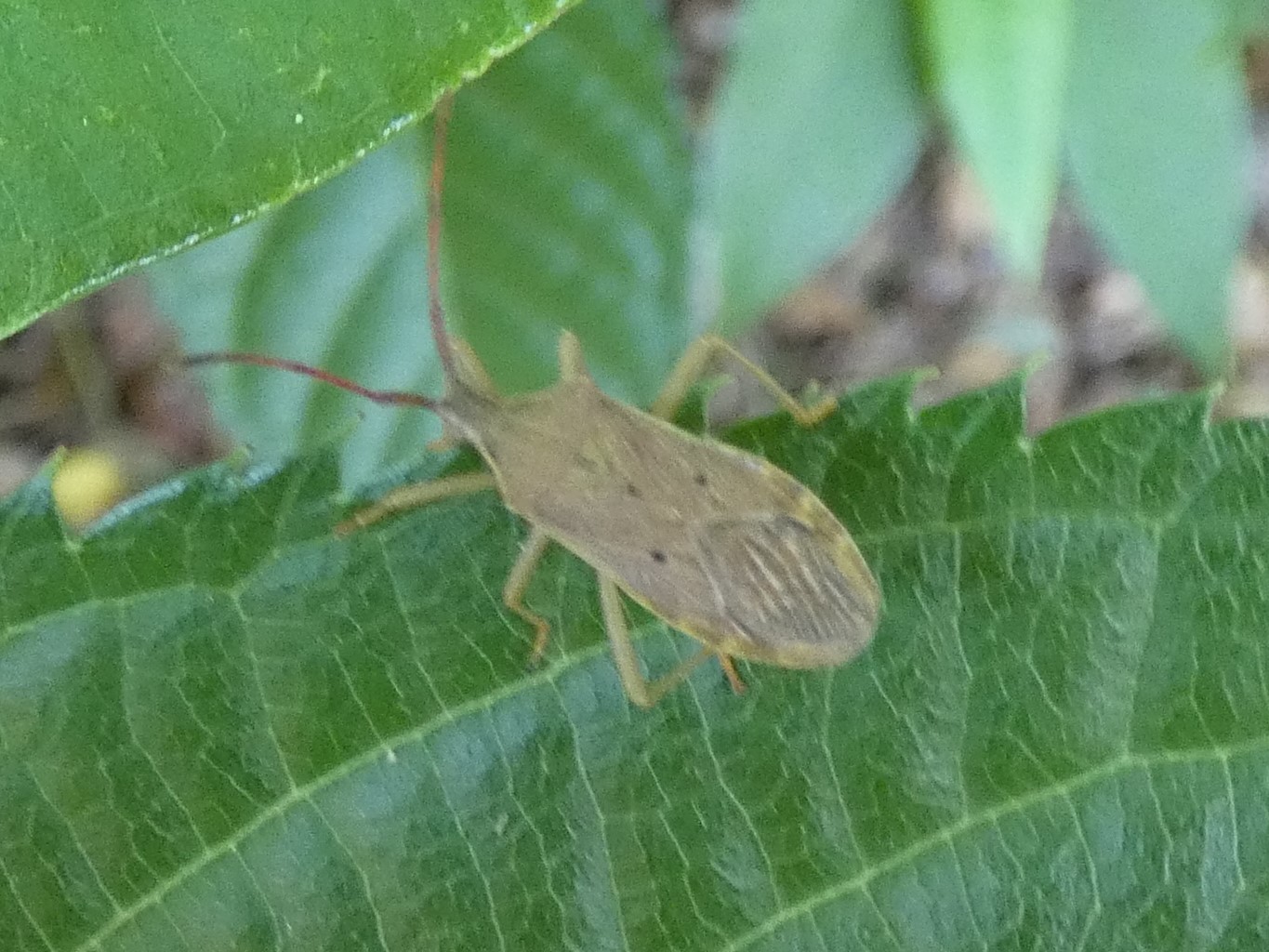 photo_3